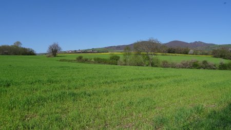 Dans le rétro.