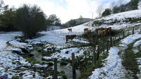 La Coise, 2km en aval de sa source.