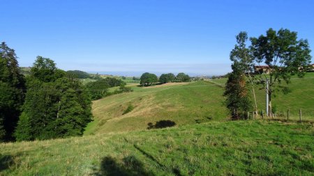 Vers les monts du Forez.