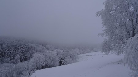 Vue amont, du même endroit que la précédente.