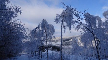 Vers le col de la Croix de Montvieux.