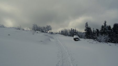 Sur la Route des Crêtes, 