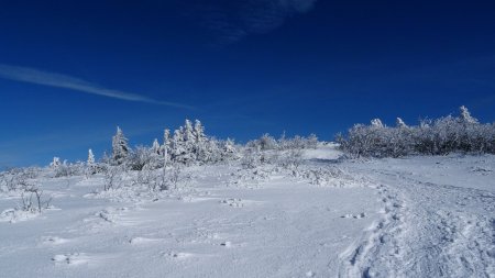 Dans le rétro à la descente.