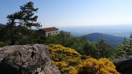 Site de Saint-Sabin.