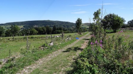 Prendre à gauche et franchir la clôture.