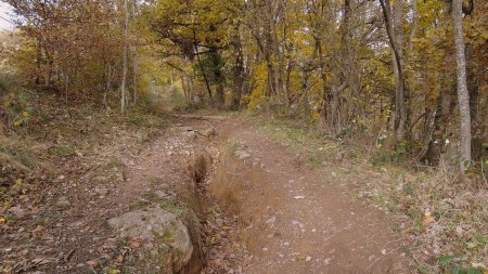 Chemin raviné.