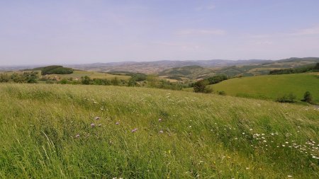 Vers les monts du Beaujolais.