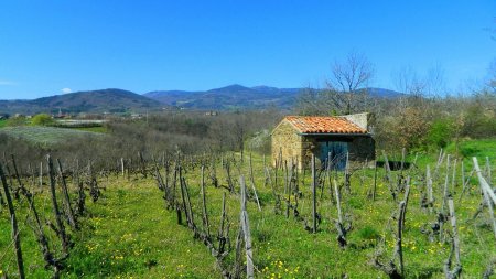 Loge de vigne et Haut-Pilat