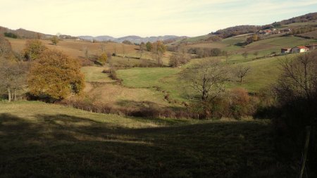 Haute-vallée de la Coise.