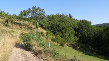 Sortie du bourg et ravin de Pompet à droite.