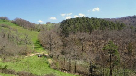 Vallon du Couzon sous la Côte Chaude