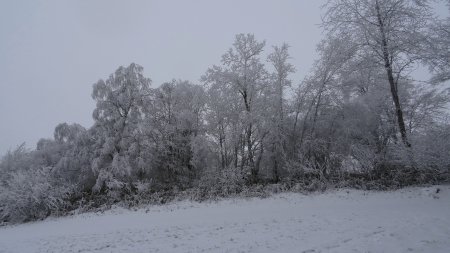 Givre.