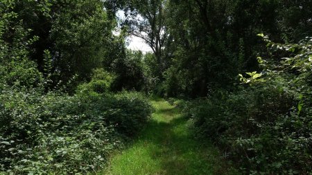 Entre la Loire et l’étang