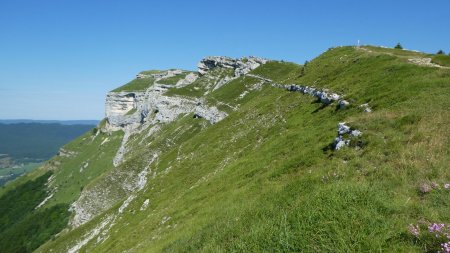 La falaise