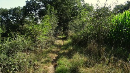 Remontée sur le plateau.