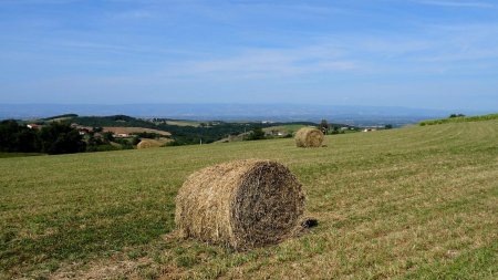 Vers la plaine et les monts du Forez.