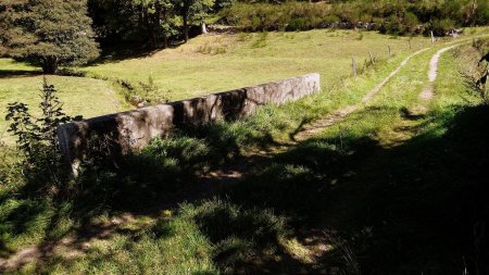 Vallon de l’Écotay.