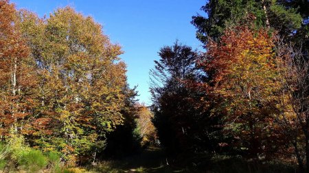 La lumière revient en s’éloigant de la ligne de crête.