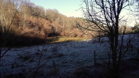 Givre.