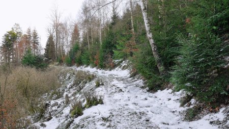 Le sentier contoune le Merkur par son flanc nord.