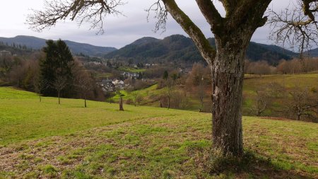 Sur le sentier du Panoramaweg.