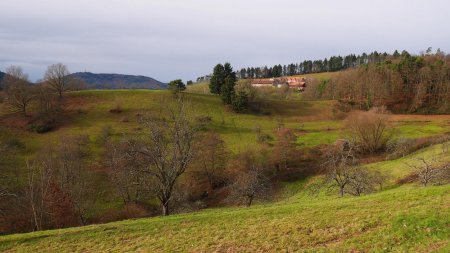 Sur le sentier du Panoramaweg.