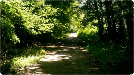 Sur le Chemin des Combes.