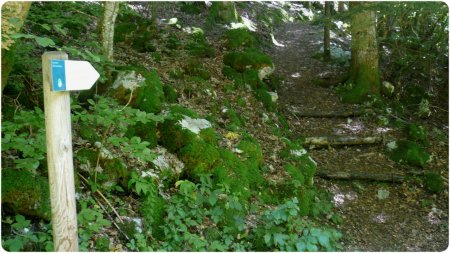 Sentier Thématique de la Meulière.