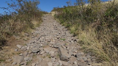 Chemin désagréable