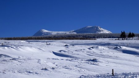 Le mont Mézenc vu de la sortie des Estables.