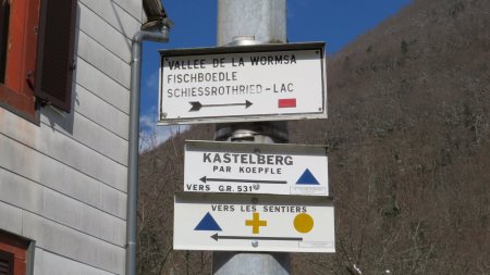 Je suis allé à gauche (direction le Kastelberg, Koepflé et le GR531) et je prévoyais de revenir par la droite au retour (Wormsa, Fischboedle, Schiessrothried). Mais finalement, je suis revenu par la gauche ...