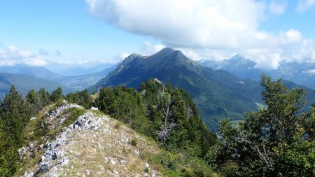 Rocher de la Bade, Colombier