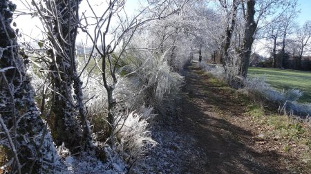 Givre.