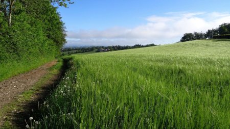 Dans le rétro en arrivant à la Croix des Places