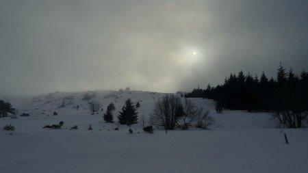 Dans la grande prairie, vue rétro sur le suc de la Lauzière.