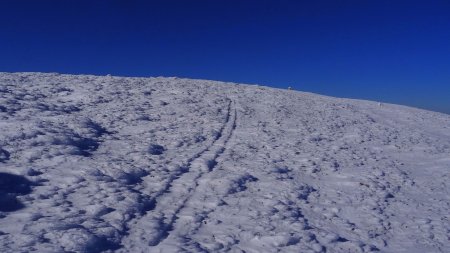 Une vieille trace providentielle dans cette neige croûtée.