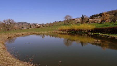 Petit plan d’eau et Montrottier en arrière-plan.