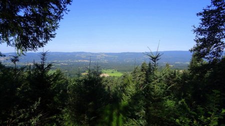 Trouée panoramique sur la vallée de la Dore et les monts du Livradois.