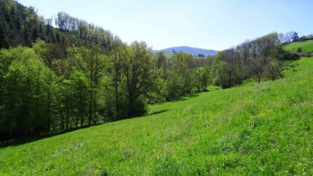 Vallon des Nants.