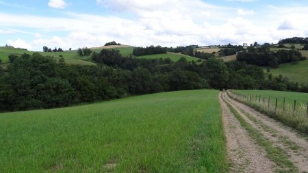 Descente dans le Val de Coise.