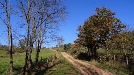 Remontée en direction de la Croix Vincent.