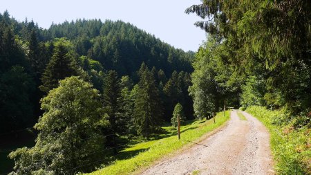 En montée sur l’Oostalweg (östlich).