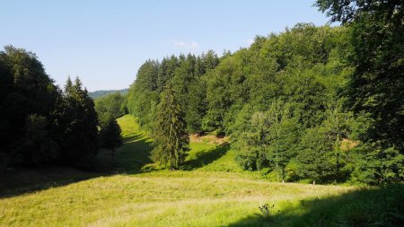 En descente sur l’Oostalweg (westlich).