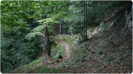 Sentier de droite au Pas du Boeuf .