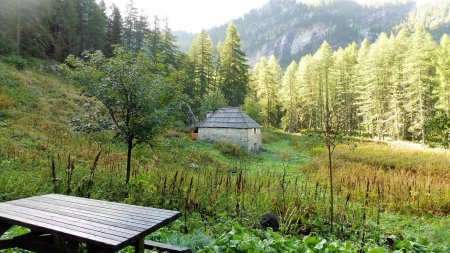 Proximité de la maison forestière