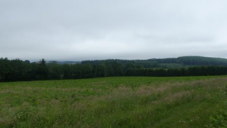 Le Morvan est un massif montagneux très boisé