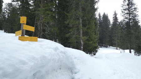 Panneau Sous les Prés (vers le point haut)