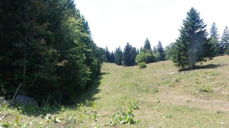 En direction du second sommet à 1440m, le Haut du Mollendruz