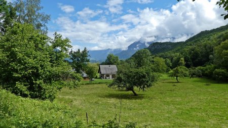 Les Maisons