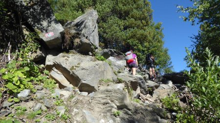 Bois du Creux de l’Ours